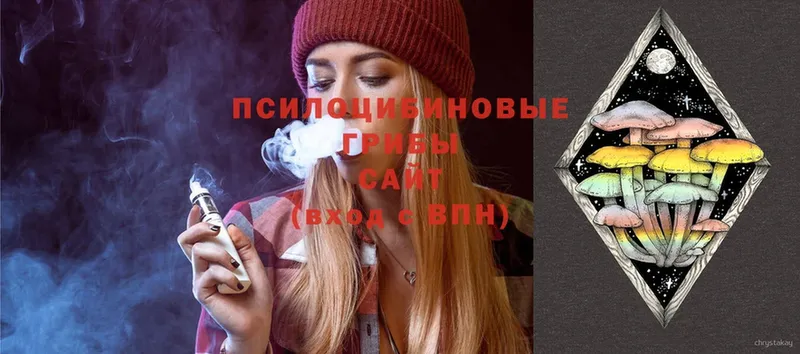 купить закладку  Советский  Псилоцибиновые грибы MAGIC MUSHROOMS 